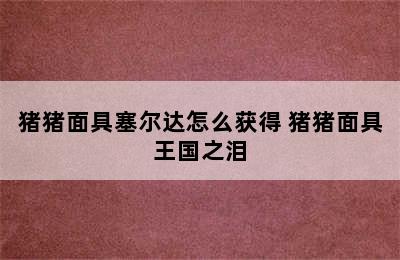 猪猪面具塞尔达怎么获得 猪猪面具王国之泪